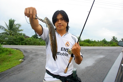 สงขลา (ตีเหยื่อปลอม) 20