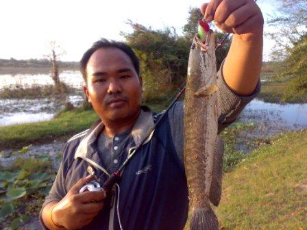 ส่ายหน้าอีกแล้ว.เช้า 1เย็นอีก1โนนดินแดง บุรีรัมย์