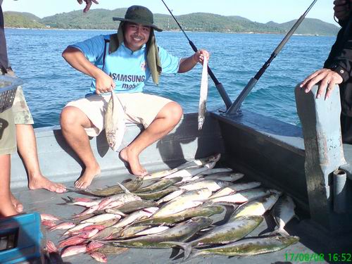 รัก Siamfishing ดูเล่นๆ