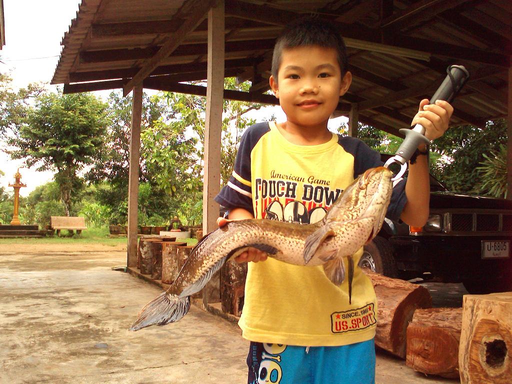 ช่อนใหญ่ ปีใหม่ เมืองจันท์