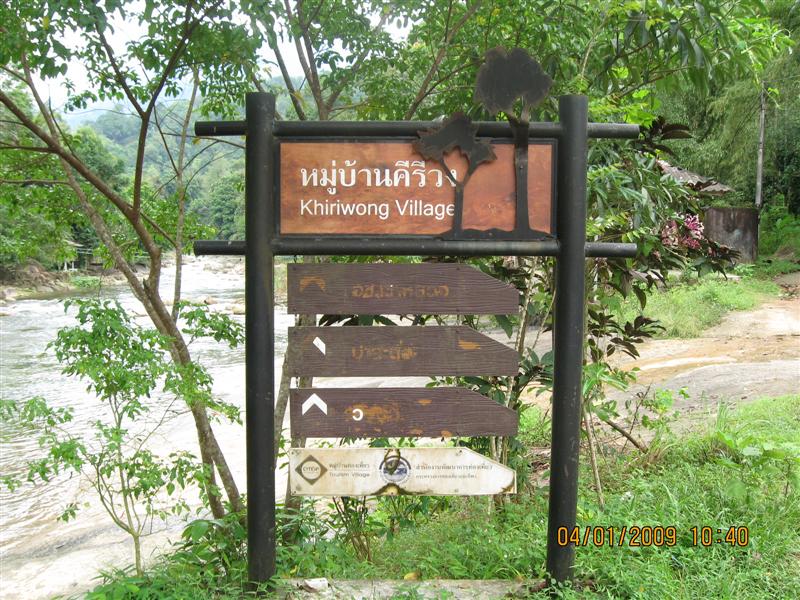 ผสมผสาน ที่บ้าน กับ ดอกกราย