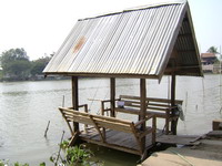 ปลากาหน้าบ้าน...ยุดยา