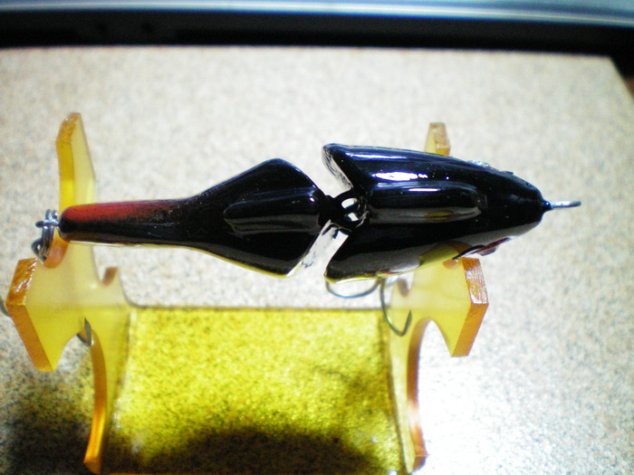 ปลานิลตัวผู้(หางแดงๆ)กิล่อน 6.5cm