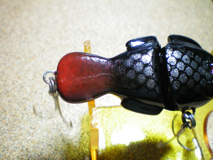 ปลานิลตัวผู้(หางแดงๆ)กิล่อน 6.5cm