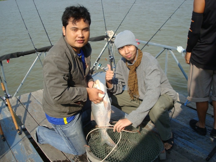 แพบางไทร อีกแล้ว