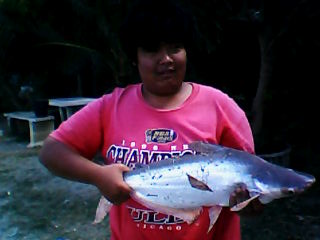 บ่อบางรัก