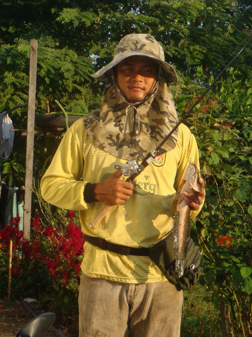 ลาดกระบังยังมีปลาช่อน(ชุม)ณ หมายปิดคลองมอญ