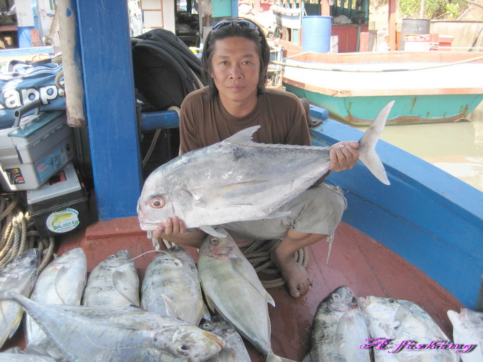 === ตะคองเดือดที่ตราด ===