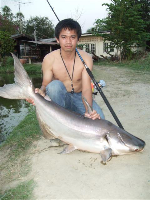 XZOGA กับ ปลาบึกบ่อสร้างฝากให้พี่วุธครับ