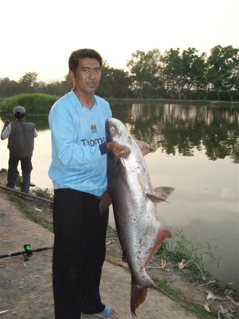 XZOGA กับ ปลาบึกบ่อสร้างฝากให้พี่วุธครับ
