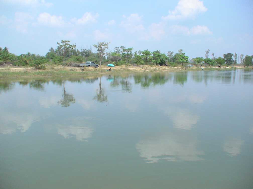 ปลาทูทองโคราช(อีกแล้ว)