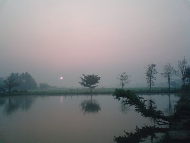 สุดท้าย ก็รอดตายเพราะ "หนอนยาง"