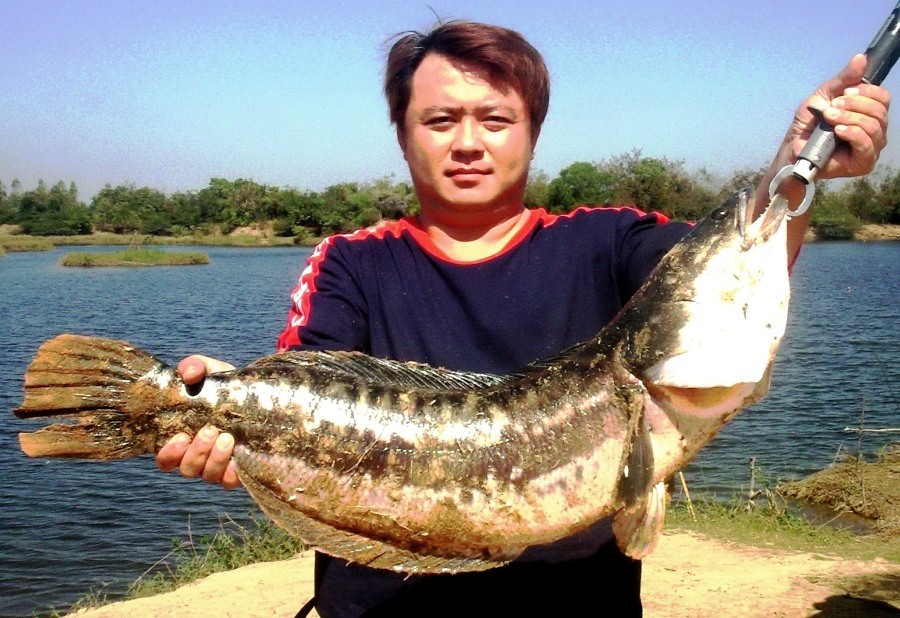 หาม ปลา แบก ปีศาจ