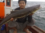 ปริปตกปลาจันทบุรี