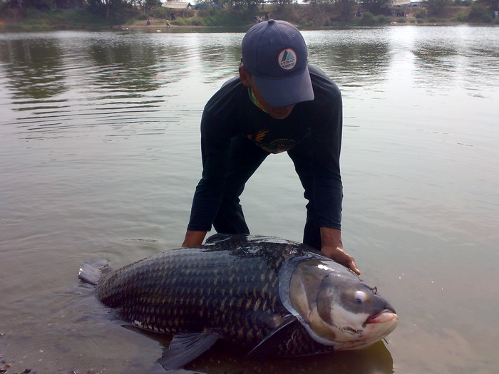 15มีนา52  บึงลูกนำ  นฐ
