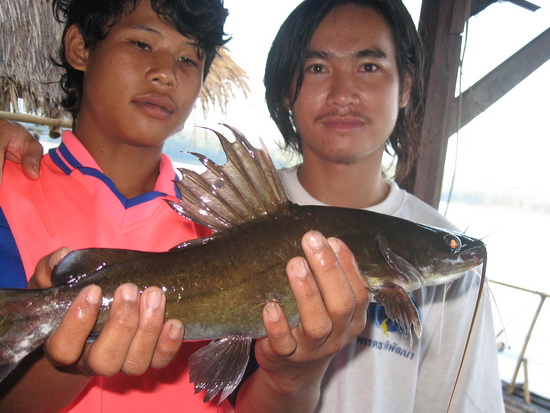 เขื่อนเขาแหลม 