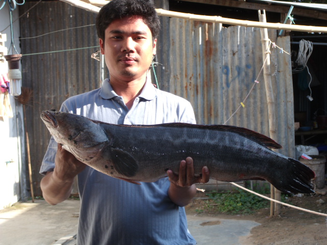 กุดทะเลสวน  อ.  แคนดง