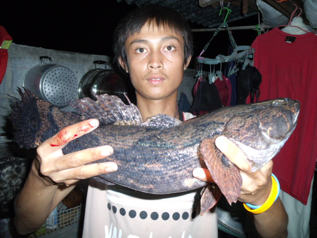 กุดทะเลสวน  อ.  แคนดง