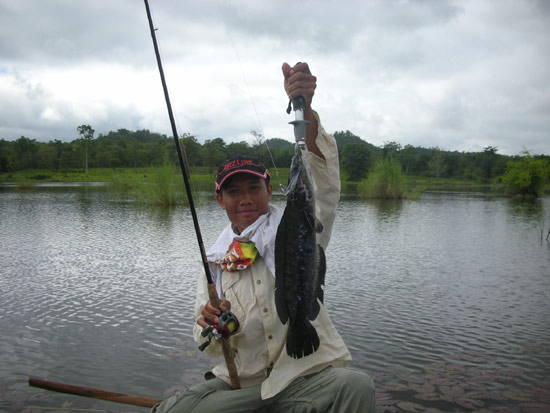 snakehead lure game
