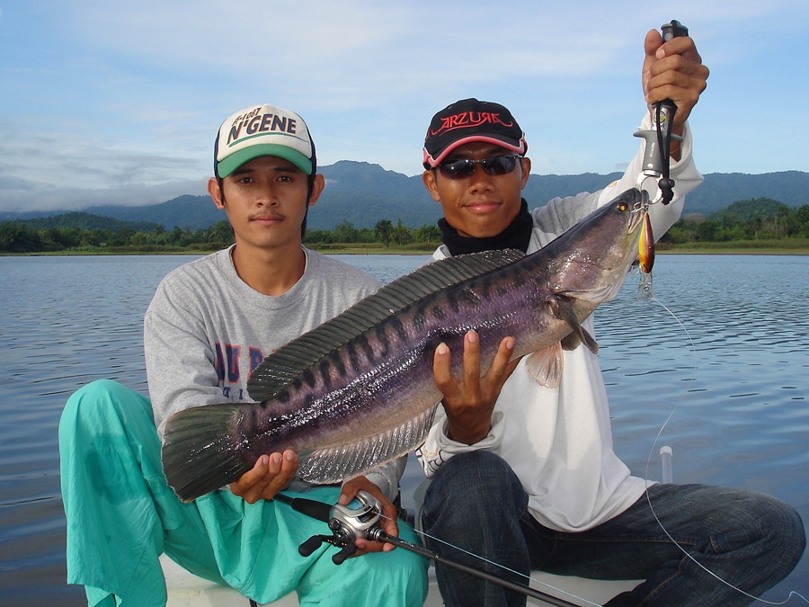 snakehead lure game