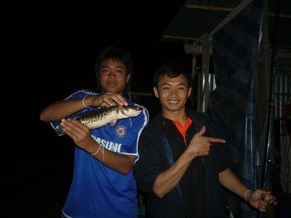 อดีตกาลกับปลาชะโดสมัยเรียนมหาลัย