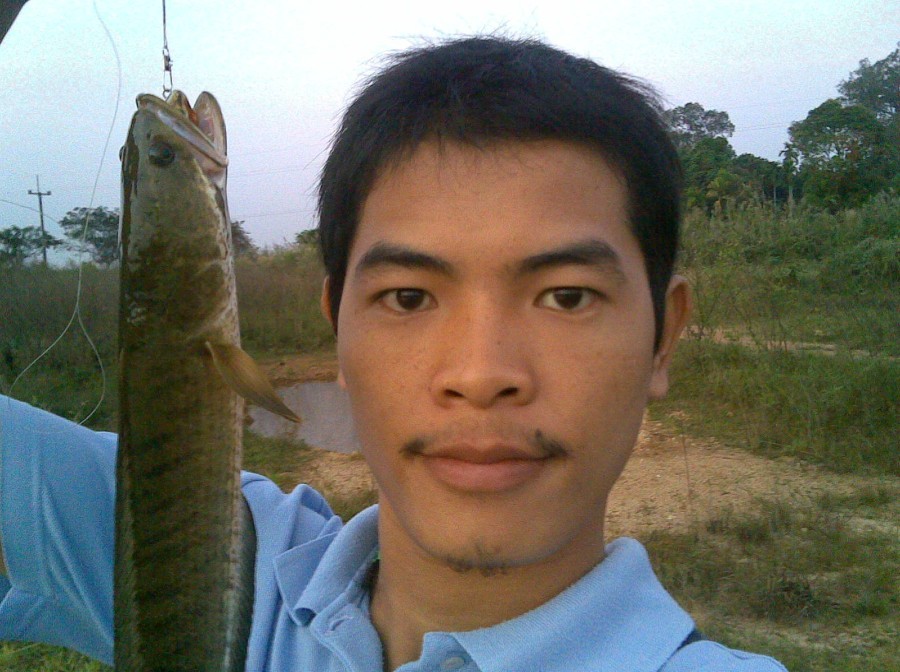 ช่วยดูน้องใหม่ด้วยครับ  ว่าOK หรือป่าว