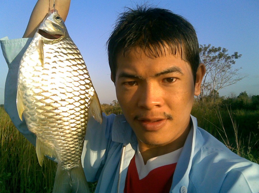 ช่วยดูน้องใหม่ด้วยครับ  ว่าOK หรือป่าว