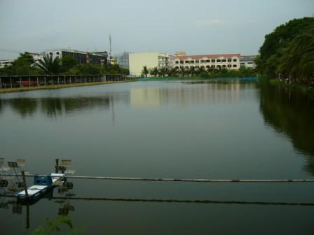 Texas Rig in Bangkok 