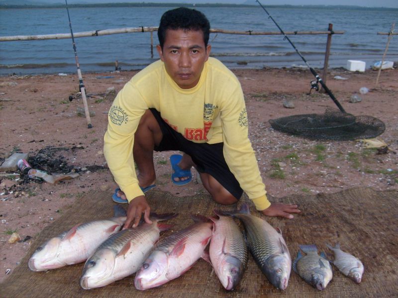 ย้อนอดีต ปี 51