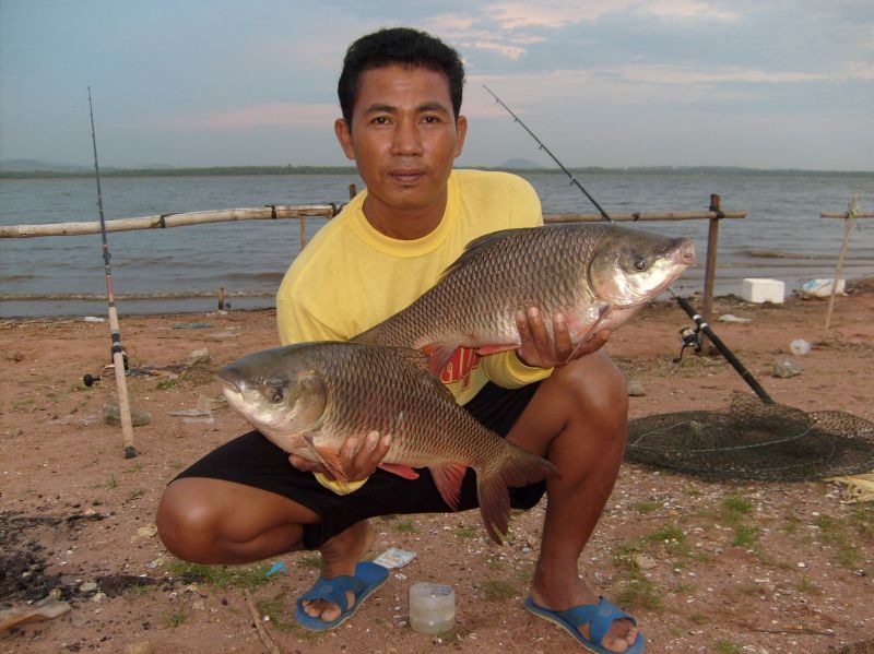 ย้อนอดีต ปี 51