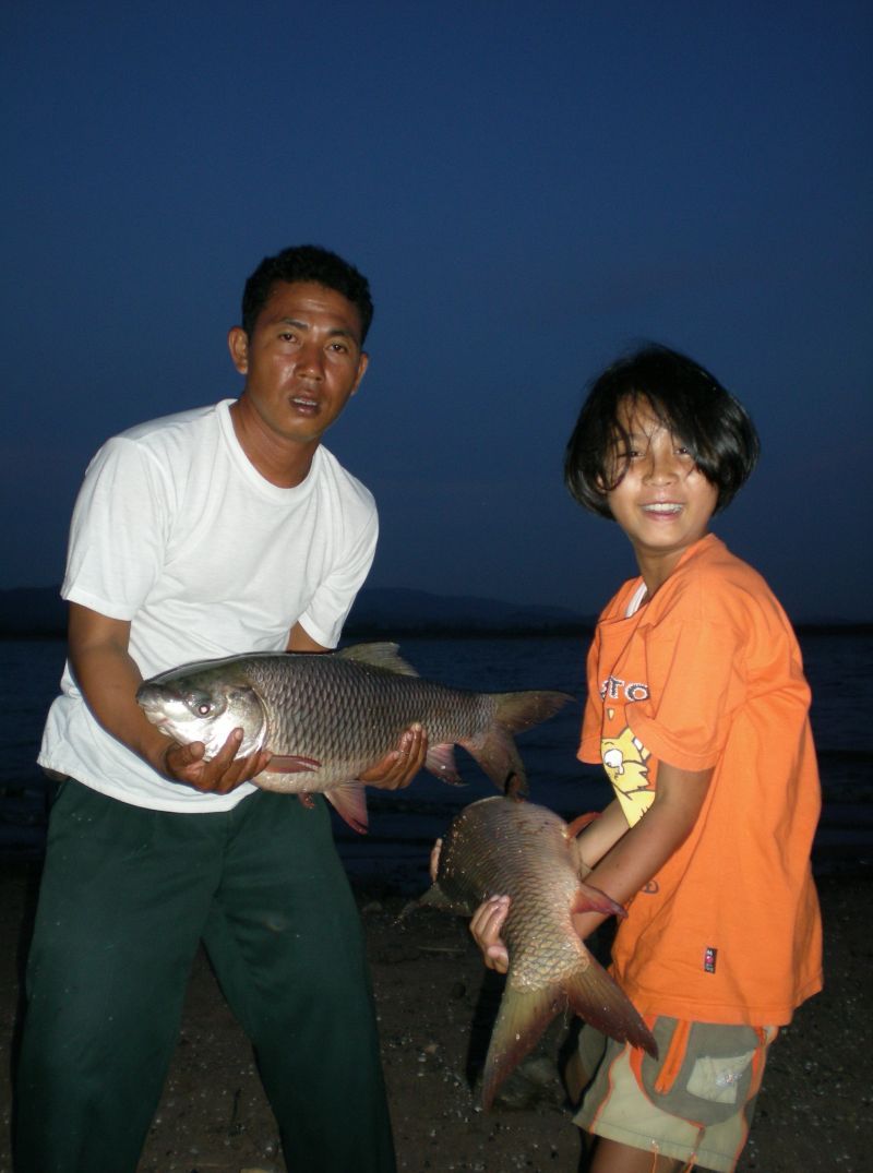 ย้อนอดีต ปี 51