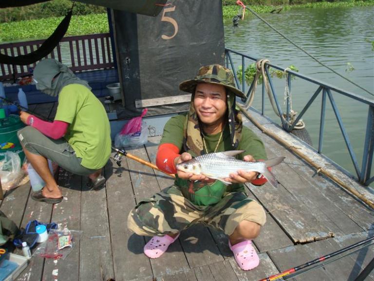 บางไทร ไม่หมานอย่างที่คิด