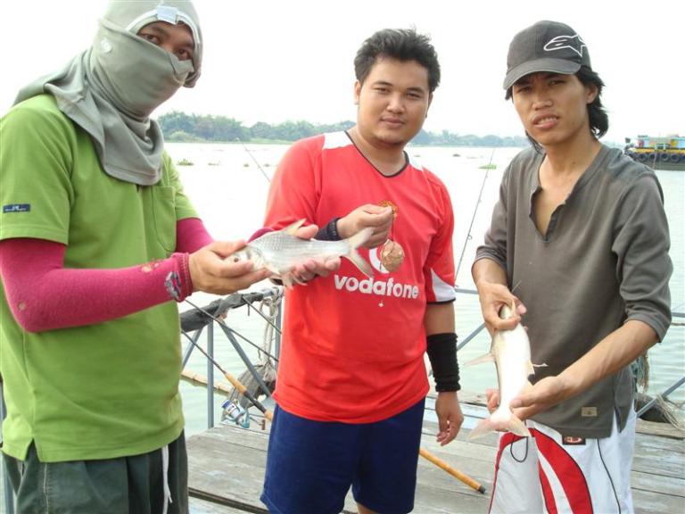 บางไทร ไม่หมานอย่างที่คิด