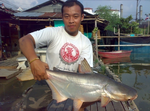   โชคอนันต์