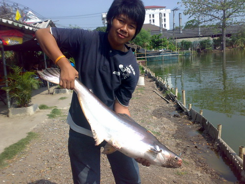   โชคอนันต์