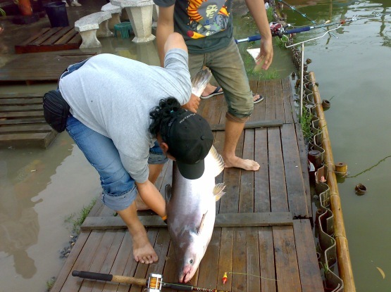  โชคอนันต์