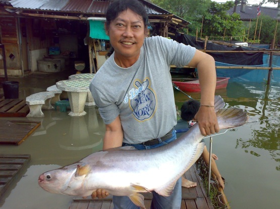   โชคอนันต์