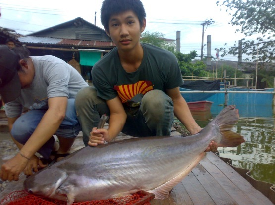   โชคอนันต์