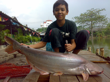   โชคอนันต์