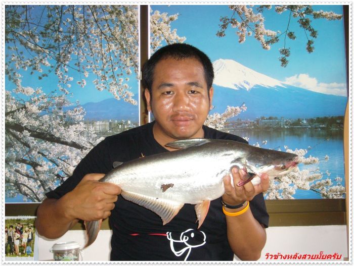 แก้เหงาเสาร์อาทิตย์