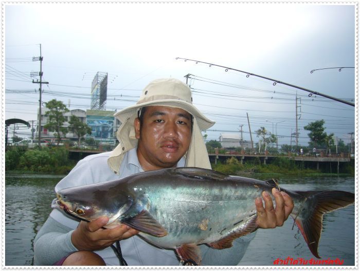 แก้เหงาเสาร์อาทิตย์