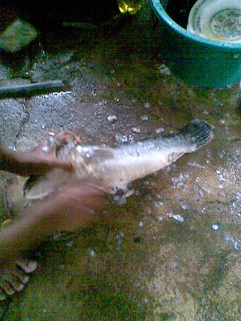 พักสกตกโด