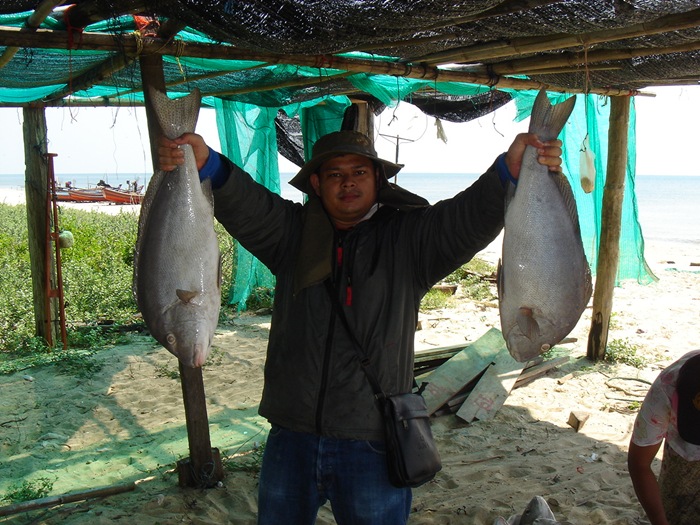 อัดหอบ...ที่ระโนด