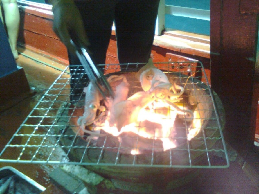 ตกหมึกครั้งแรกก็สนุกดี