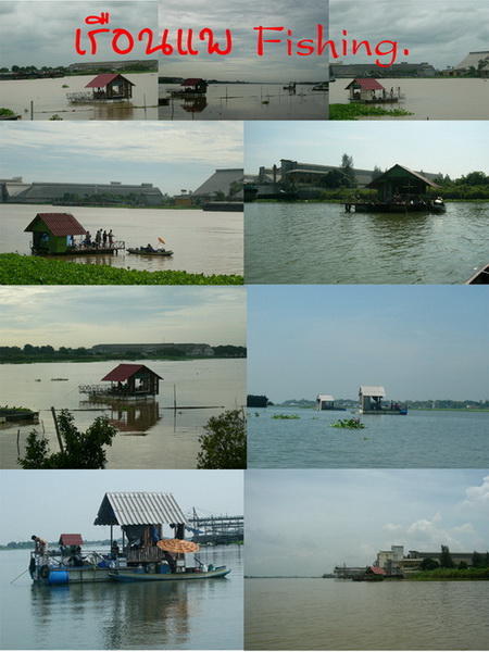 เรือนแพ  Fishing