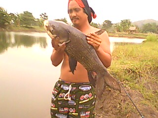 ลองดูบ่อที่บ้าน