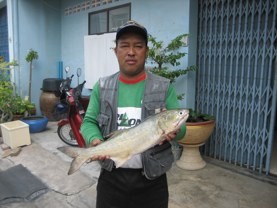 ไต๋บาสอ่าวอุดม