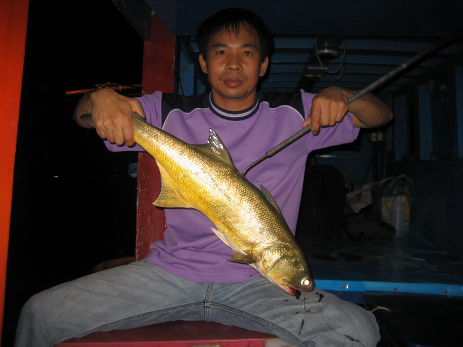ไต๋บาสอ่าวอุดม