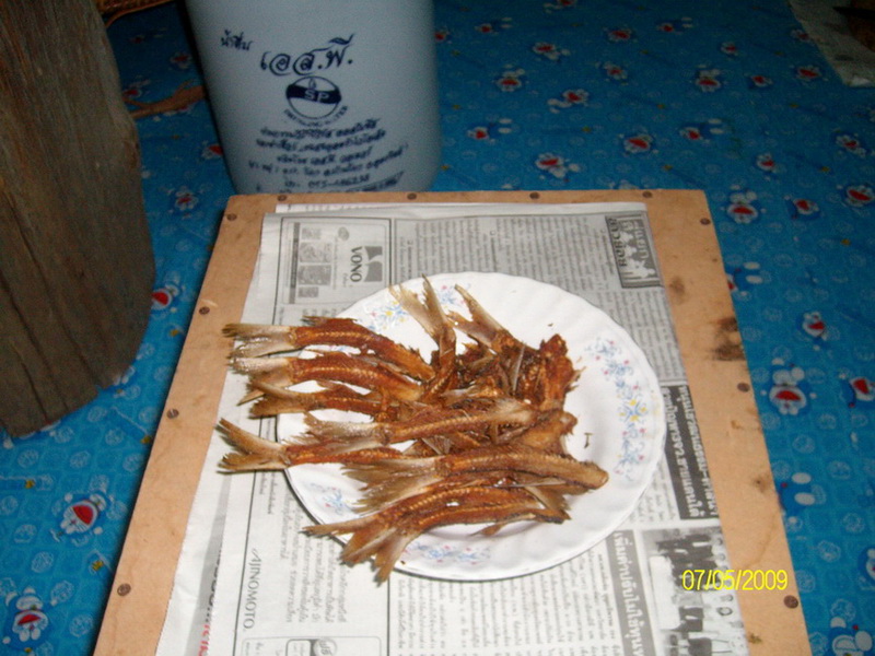 ตกปลาสร้อย(ปลาเล็กปลาน้อยฉลองวันอกหักครับน้าๆ)