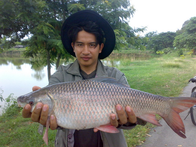 ตกปลา ต้นฤดูฝน  / 2